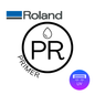 CARTUCCE ROLAND UV ‑ ECO UV