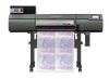 Anteprima 2